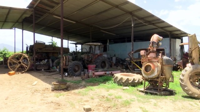 Rice Farmers Call On Gov’t To Pay Them Money Owed