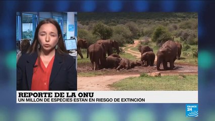 José Eustaquio Pérez y la naturaleza