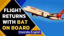 Air India flight returns midway after bat is found on board | Oneindia News