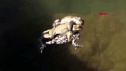 Bu inanılmaz görüntü Türkiye'de çekildi...