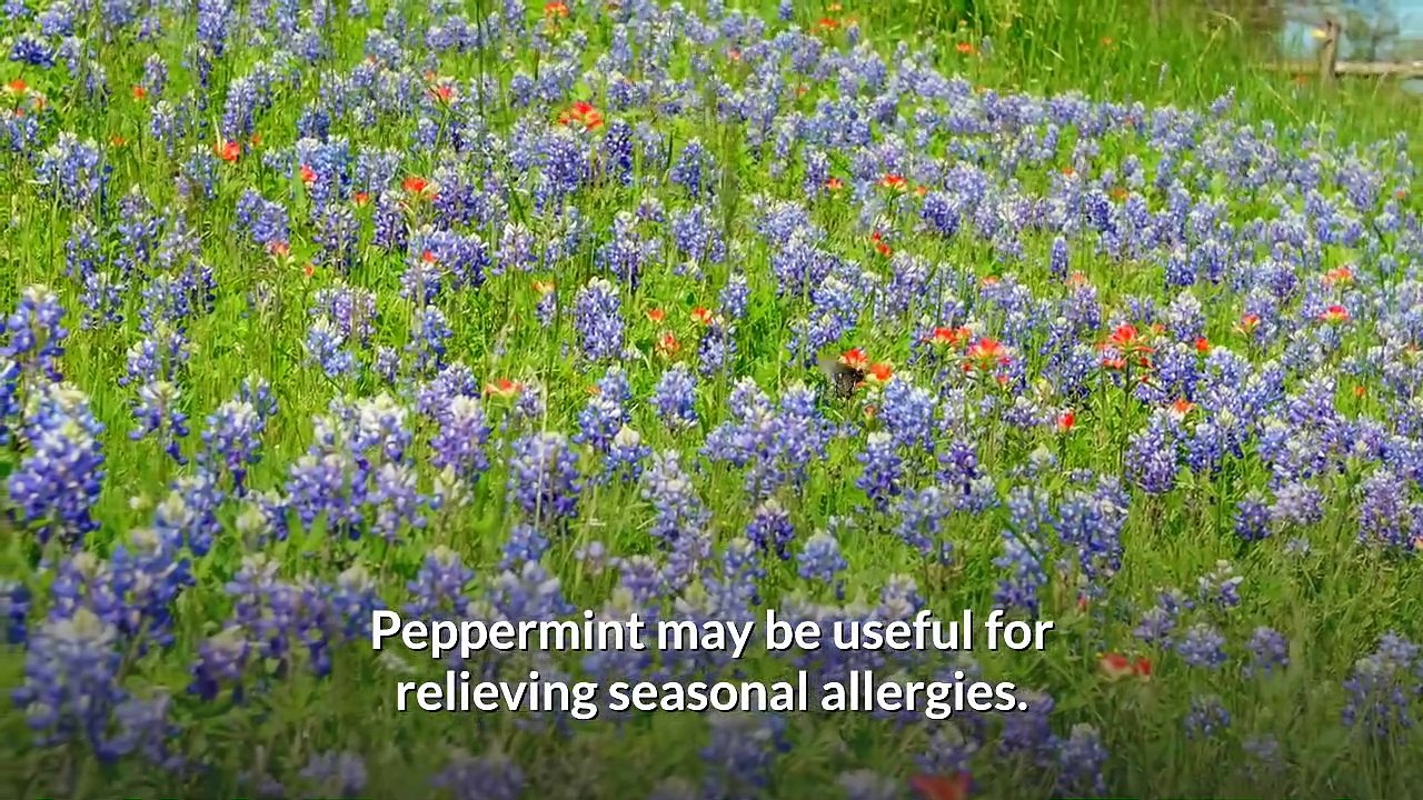 essential-oils