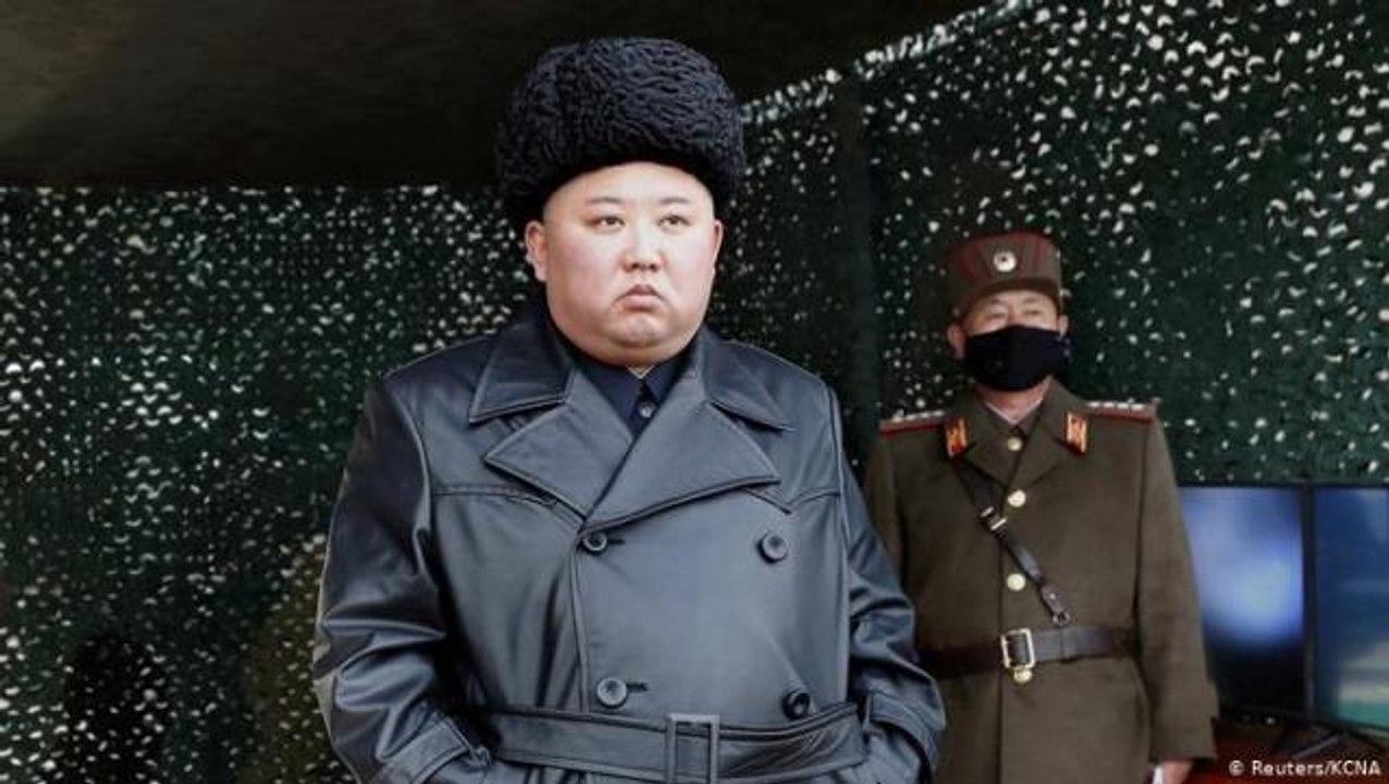 Kuzey Kore lideri Kim Jong-un güvercinlere ve sokak kedilerine savaş açtı