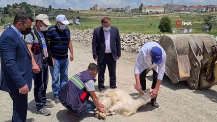 İşçiler dakika farkıyla ölümden döndü, başkan kurban kestirdi