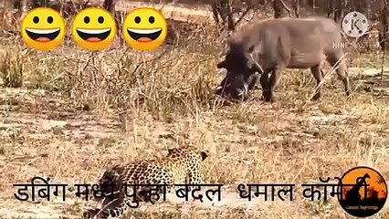 हसण्याचा धमाका! लक्ष्मीकांत भिसे यांच्या विनोदी व्हिडिओसह मजा करा 😂