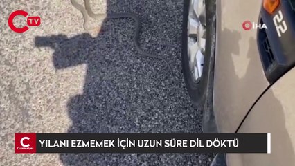 Yolda gördüğü yılanı ezmemek için uzun süre dil döktü