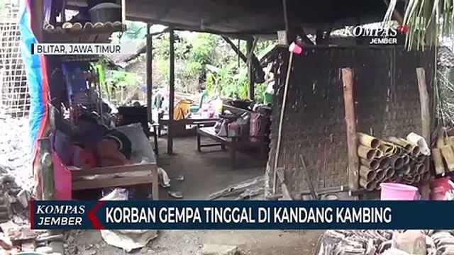 Tak Dapat Bantuan Perbaikan Rumah, Korban Gempa Tinggal di Kandang Kambing