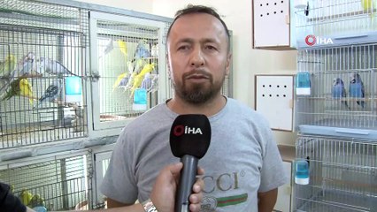 Gençlerin yeni tutkusu muhabbet kuşu