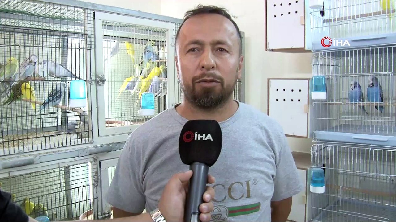 Gençlerin yeni tutkusu muhabbet kuşu