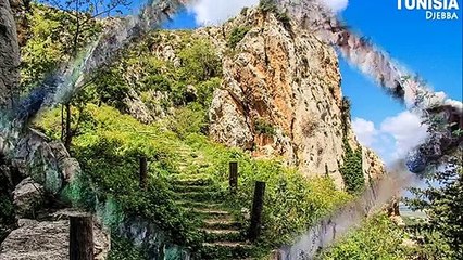 شاهد جمال الطبيعة في تونس منطقة دجبّة مثالا