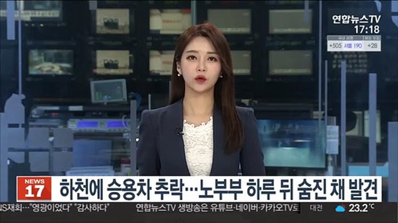 금산서 하천에 승용차 추락…노부부 하루 뒤 숨진 채 발견