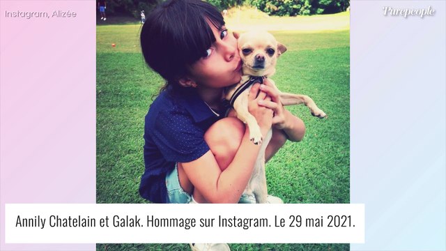 Alizée en deuil : elle pleure la mort d'un membre de la famille ...