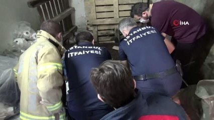 15 metrelik kuyuya düşen 2 yavru kedi koli yardımıyla kurtarıldı