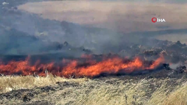Diyarbakır'da korkutan anız yangını... Yangın çevredeki akaryakıt ve ağaçlık alana sıçramadan söndürüldü