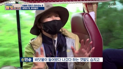 화성습지 중심에서 평화를 외치다 ◆화성 습지 투어◆ TV CHOSUN 20210529 방송