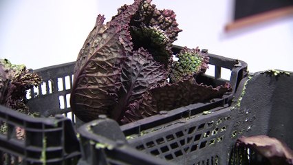 'Irreversible' expone el impacto humano sobre el hábitat y los alimentos