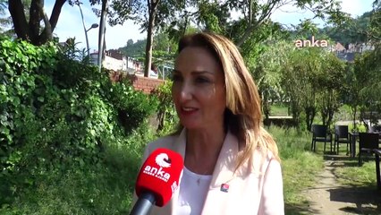 CHP'li Aylin Nazlıaka: "Erdoğan, şiddet uygulayanları adeta kutsamıştır"