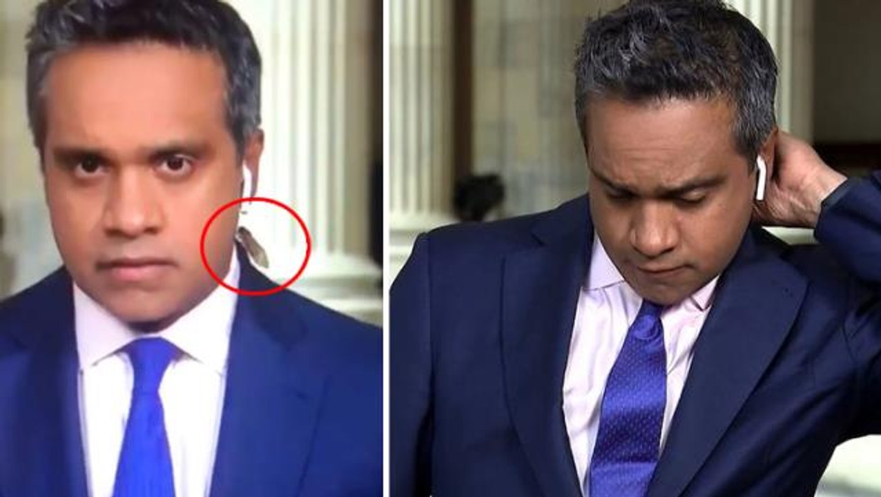 17 yılda bir yeryüzüne çıkan böcek, canlı yayında muhabire zor anlar yaşattı