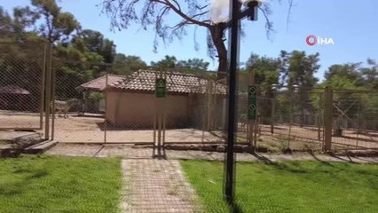 Hayvanat Bahçesi ailesi 150 yeni doğumla zenginleşti