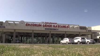 Yıldırım düşmesi sonucu aynı gün farklı yerlerde yaralanan 2 çoban tedavi ediliyor