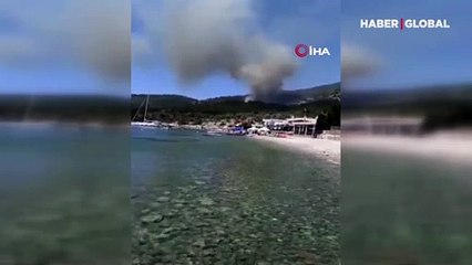 Muğla Milas'ta ormanlık alanda yangın