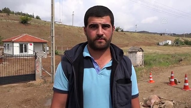 KIRIKKALE - Elektrik akımına kapılan 4 küçükbaş hayvan telef oldu