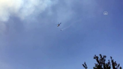 MUĞLA - Milas'ta ormanlık alandaki yangına müdahale ediliyor (2)