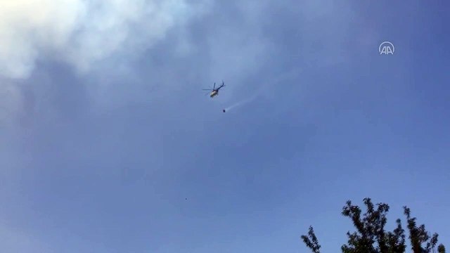 MUĞLA - Milas'ta ormanlık alandaki yangına müdahale ediliyor (2)