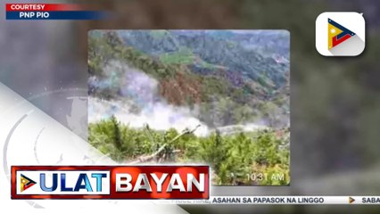 Higit P13-M halaga ng marijuana sa Kalinga, sinira ng PNP