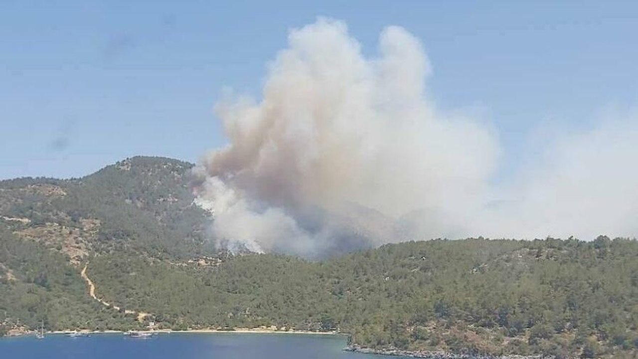 Muğla’nın cennet koyları yanıyor