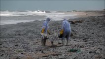 Sri Lanka : une marée de plastique sur les plages après l’incendie d’un porte-conteneurs
