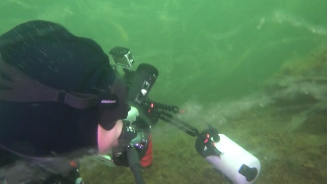 Prof. Dr. Sarı, deniz dibindeki felaketi bu sözlerle anlattı: Aşağıda durum çok kötü