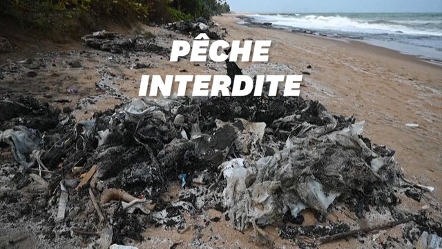 Au Sri Lanka, le feu enfin éteint à bord du cargo X-Press Pearl à l'origine d'un désastre écologique