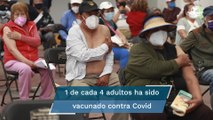 Pandemia Covid continúa en descenso y se manifiesta la efectividad de las vacunas: SSa