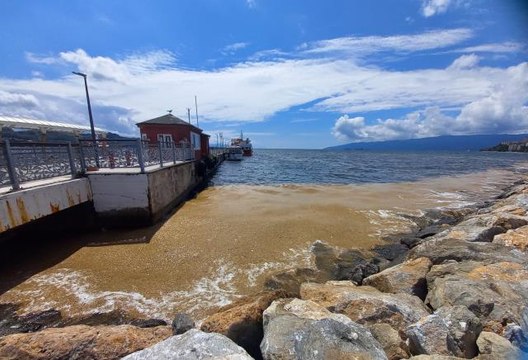 Gemlik Körfezi'nde deniz salyası kıyı bölgelerde yoğunlaştı