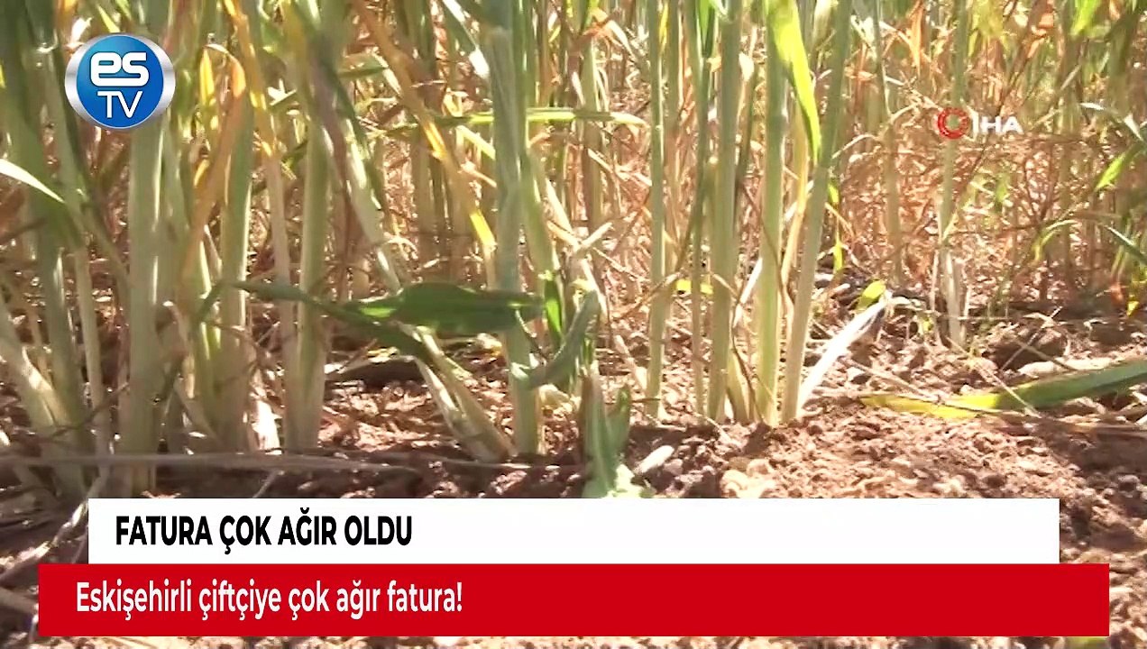 Fatura çok ağır oldu