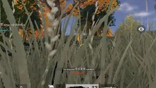 Knives Out