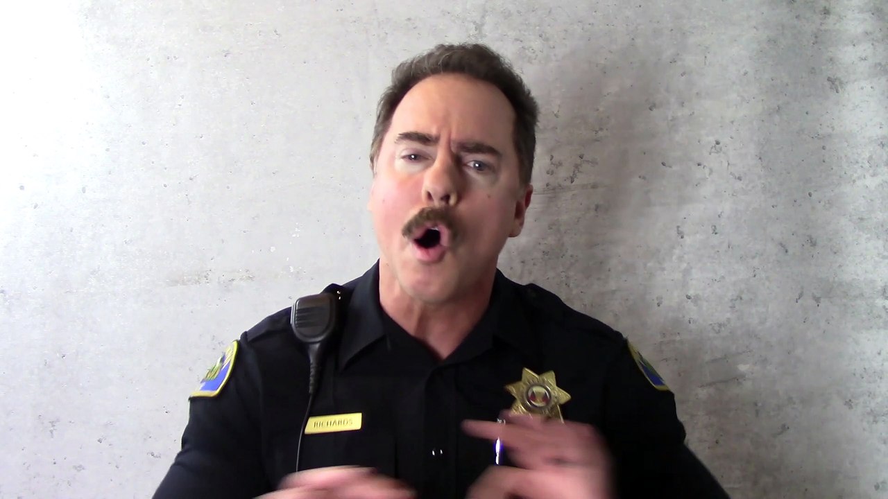 Angry Cop 8 | Spray foam disaster | The Cat Part 2