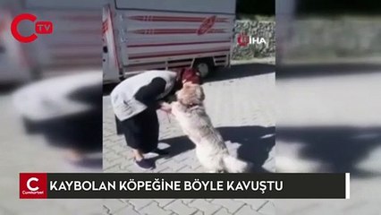 Şerife teyzenin Kibar ismini verdiği köpeğiyle buluşma anı