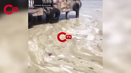 MARMARA'DAKİ MÜSİLAJIN ETKİSİ DEHŞETE DÜŞÜRDÜ