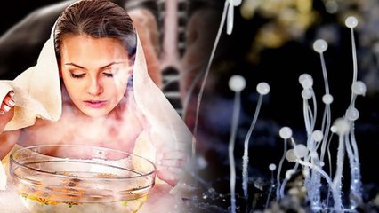 ನೀವೇನಾದರೂ ಹೆಚ್ಚು ಸ್ಟೀಮ್ ತಗೊಂಡ್ರೆ ಬ್ಲ್ಯಾಕ್ ಫಂಗಸ್ ಅಪಾಯ ಕಟ್ಟಿಟ್ಟ ಬುತ್ತಿ! | Oneindia Kannada