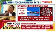 Bat Found In AI Flight Innocuous Or Conspiracy NewsX