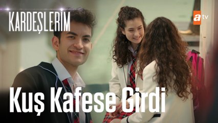 Aybike ve Asiye tuzağa düşüyor - Kardeşlerim 15. Bölüm