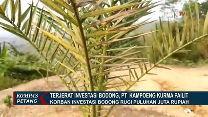 Setelah Dinyatakan Pailit, Lahan Kampoeng Kurma di Jonggol Mangkrak!