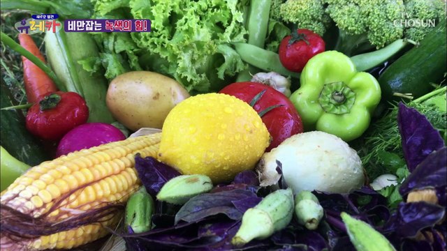 콜레스테롤 타파! 만성 염증 잡는 ✧새싹보리✧ TV CHOSUN 20210530 방송