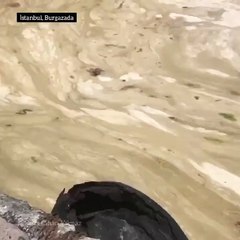 Marmara Denizi'nde korkunç manzara