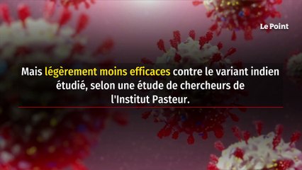 Variant indien : l’efficacité du vaccin Pfizer « légèrement diminuée »