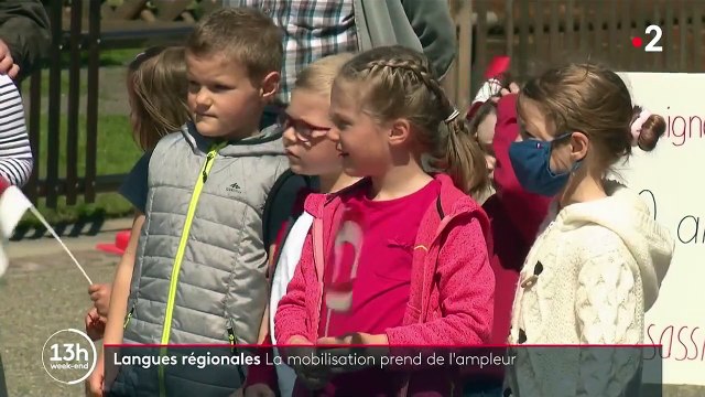 Langues régionales : la mobilisation prend de l'ampleur