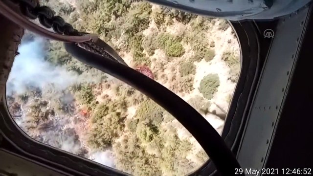 MUĞLA - Milas'ta ormanlık alandaki yangına müdahale ediliyor