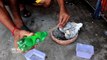 How To Make Pigeon Hand Feeder With DIY Plastic Bottle | Easy DIY Bird Feeder Waste Material Bottle