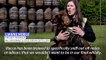 Whisky-sniffing dog hunts bad casks in Scotland